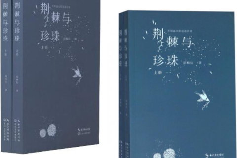 广州大学长篇小说翻译